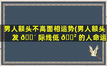 男人额头不高面相运势(男人额头发 🐴 际线低 🌲 的人命运)